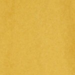 Curry